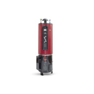 Nasgas 55 Gallons Storage Gas and Electric Geyser DEG-55 Super Deluxe